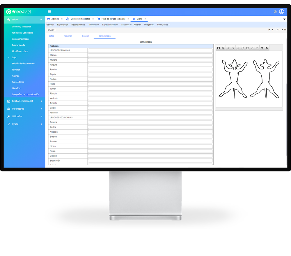 Overview icon