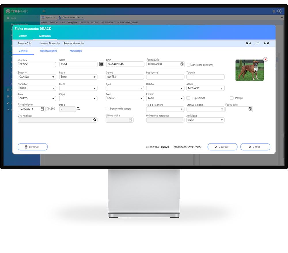 Overview icon